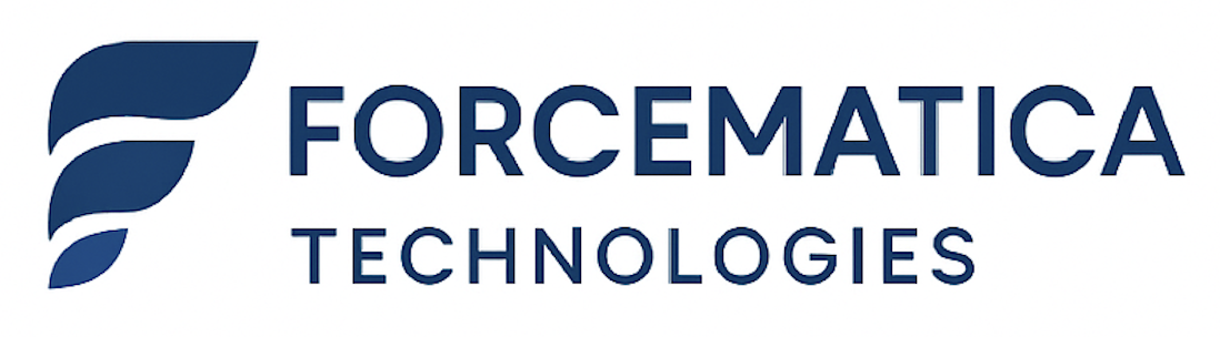 formatica Salesforce company jaipur